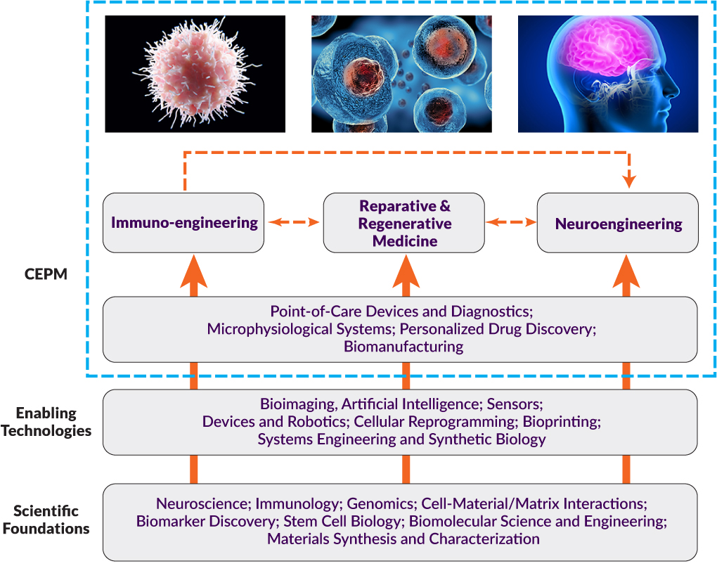 Diagram showing: From fundamental research at Rensselaer and Mount Sinai to translational medicine.