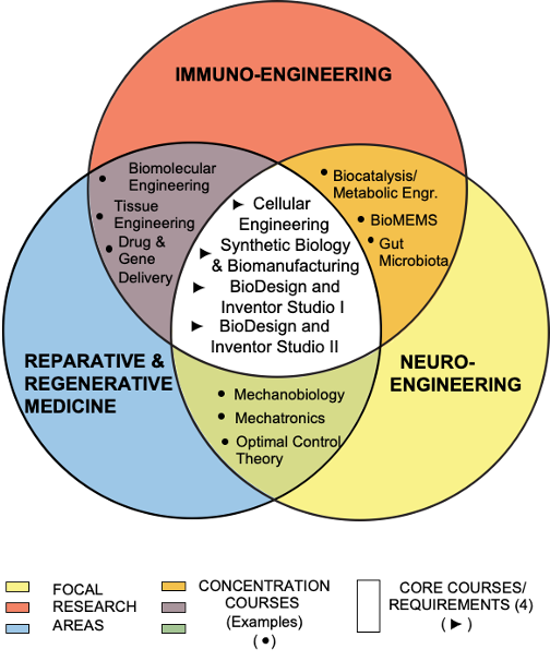 Venn diagram summarizing the proposed PhD program