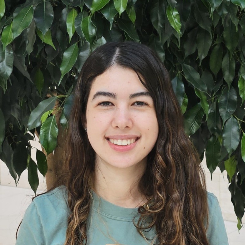 Priti Balchandani, Ph.D.